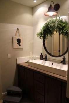 a bathroom with a sink, mirror and plant on the counter top in front of it