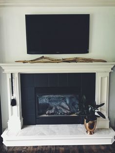 a fireplace with a tv above it and a plant in front of the fire place