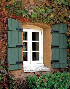 a window with green shutters and ivy growing on it