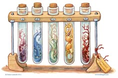 a row of glass bottles filled with different types of sea animals and corals on top of a wooden shelf