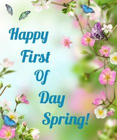 a happy first of day spring card with flowers and butterflies on the branch in front of a blurry background