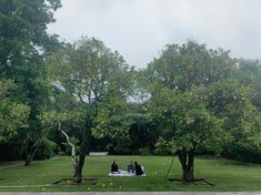 three people sitting on a blanket in the middle of an apple tree filled field with oranges