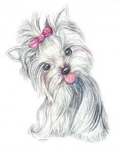 a drawing of a small white dog with a pink bow on it's head