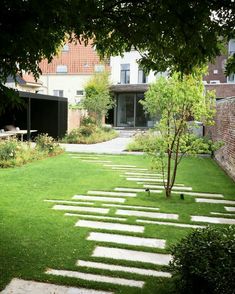 a garden with stepping stones in the grass