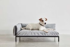 a white dog laying on top of a gray couch with a black frame and legs