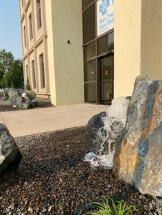 rocks and plants in front of a building