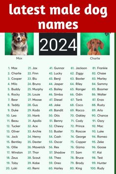 a list of names for dogs that are named in english