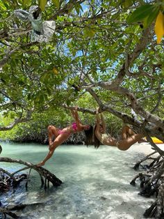 two women hanging upside down from trees in the water