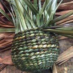 a close up of a plant on a wooden surface