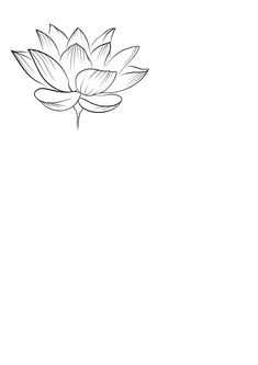 a black and white drawing of a lotus flower