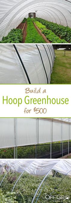 several photos of greenhouses with text overlay that reads build a hoop greenhouse for $ 600