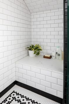 a white tiled bathroom with black and white tile flooring, green plant in the corner