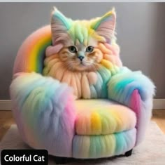 a cat that is sitting in a chair with rainbow fur on it's back