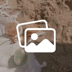 an image of the beach with shells and sand