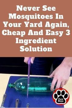 someone is using a knife to cut through an empty bottle with the words never see mosquitoes in your yard again, cheap and easy 3 ingredient solution