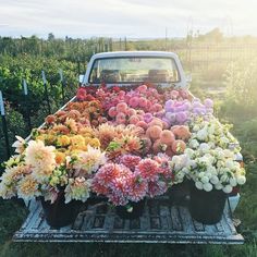 a pick up truck filled with lots of flowers