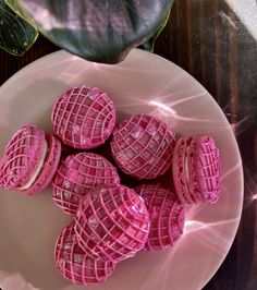 some pink cookies on a white plate next to a potted plant and a green leaf