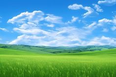 a green field with blue sky and clouds in the background is an image of nature