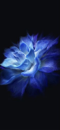 a blue flower on a black background with some light coming from its center and the petals