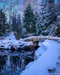 a small stream in the middle of a snowy forest with trees on either side and a stone bridge over it