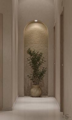 a plant in a vase sitting on the floor next to a wall with an arched doorway