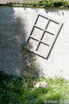 a cat laying in the grass next to a building with a window on it's side