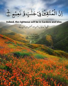 a field with flowers in the foreground and an arabic quote above it