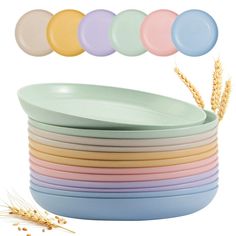 a stack of pastel colored plates with wheat stalks in the foreground and an array of different colors on each plate