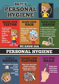 an info poster with different types of hair and hygiene items in the middle of it