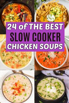 the best slow cooker chicken soups