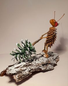 an insect is standing on top of a piece of wood and holding a pine cone