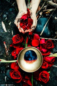 a person with their hands on a bowl surrounded by red roses and petals, holding it in the air