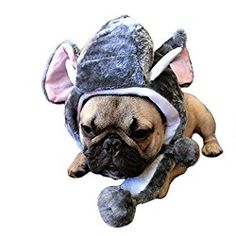 a small dog wearing a mouse costume on top of it's head and paws