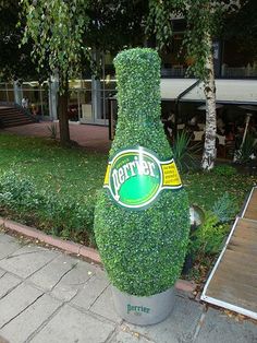 there is a large bottle shaped plant on the sidewalk