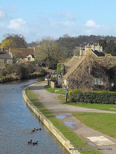 ducks are swimming in the water near houses on either side of a river that runs through town