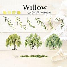 the willow watercolor collection is available for purchase