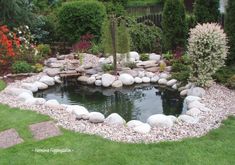 a small pond surrounded by rocks and plants