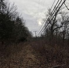 an empty dirt road surrounded by trees and power lines on a cloudy, overcast day