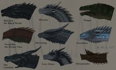 the different types of dragon heads are shown in this image, and there is also a description