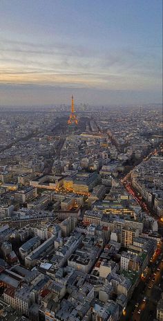 the eiffel tower towering over the city of paris