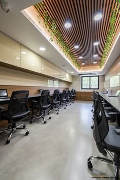 an empty conference room with black chairs and plants growing on the ceiling