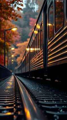 a train traveling down tracks next to a forest at night with the lights on and trees in the background