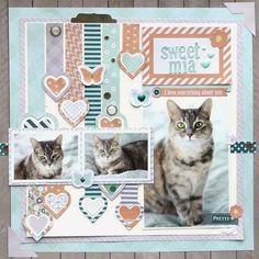 a scrapbook with two cats sitting on top of it