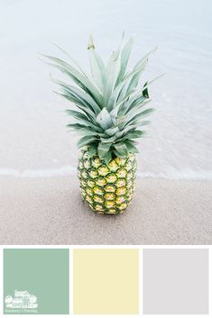 a pineapple sitting on top of a sandy beach next to the ocean with color swatches