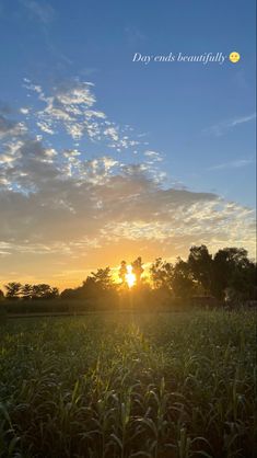 the sun is setting over a corn field