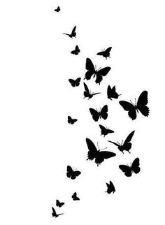 a flock of butterflies flying in the air