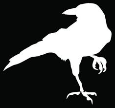 a black and white silhouette of a bird