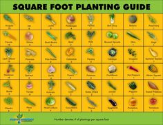 the square foot planting guide is shown in green and yellow with lots of different vegetables