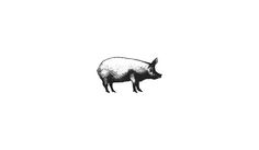 a black and white drawing of a pig