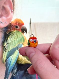 a person holding a tiny bird in front of their ear with another bird behind them